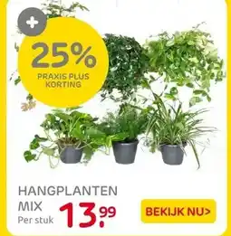 Praxis Hangplanten - Pot Diam. 18cm - Hoogte aanbieding