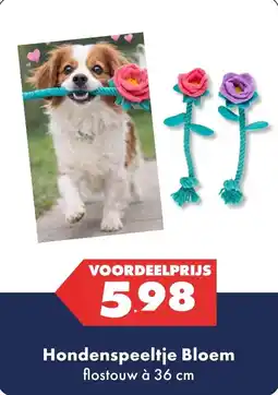 Huisdier Voordeelshop Hondenspeeltje Bloem aanbieding
