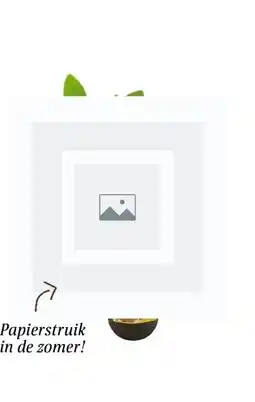 Intratuin Papierstruik in de zomer! aanbieding