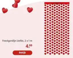 Bruna Feestgordijn Liefde aanbieding