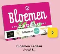 Primera Bloemen Cadeau aanbieding