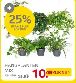 Praxis Hangplanten mix aanbieding