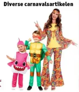 Kruidvat Diverse carnavalsartikelen aanbieding