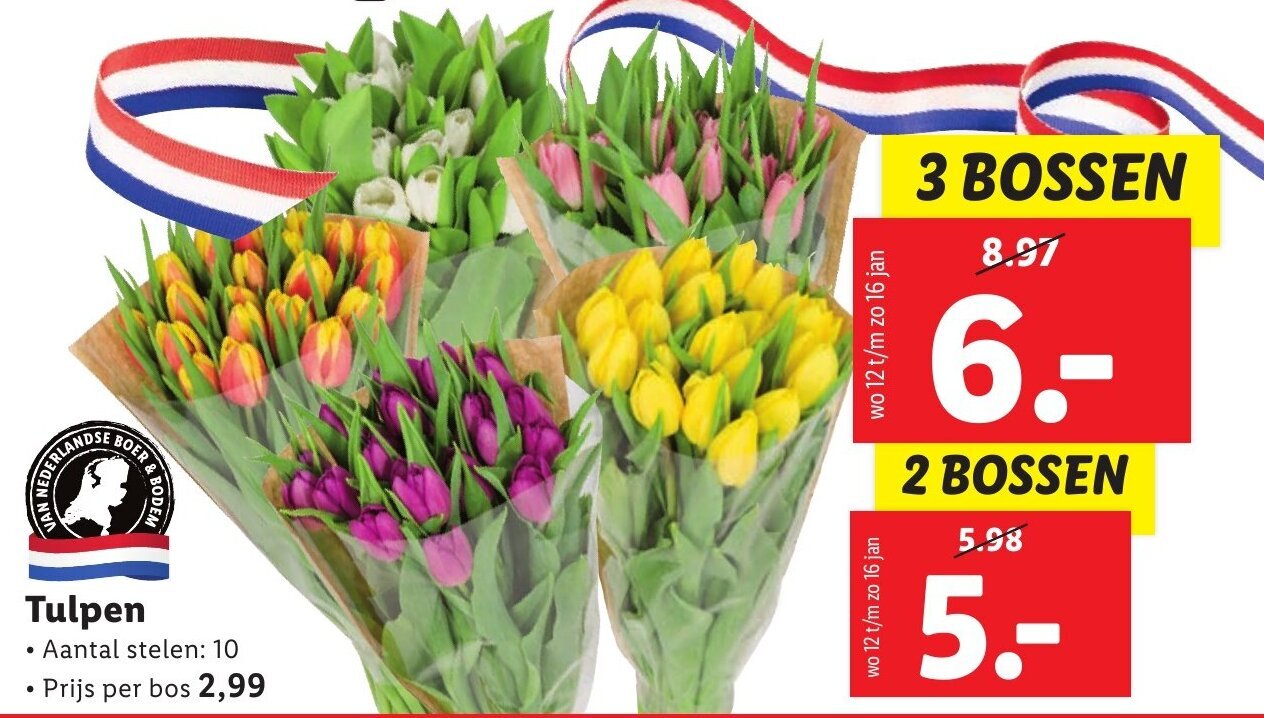 Tulpen aanbieding bij Lidl