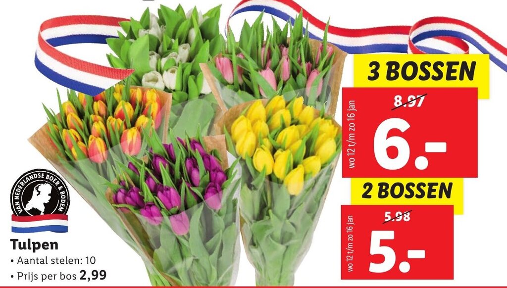 Tulpen aanbieding bij Lidl