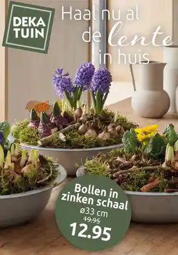 Deka Tuin Bollen in zinken schaal aanbieding