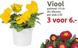 Deka Tuin Viool aanbieding