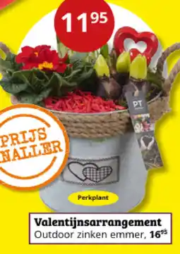 Tuinland Valentijnsarrangement aanbieding