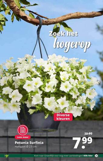 GroenRijk Petunia surfinia Ø 23 cm aanbieding