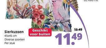 GroenRijk Sierkussen 45x45 cm aanbieding