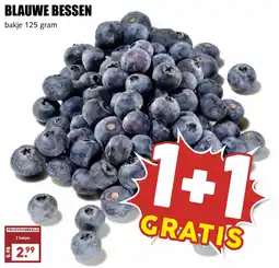 De Boerenschuur Blauwe bessen aanbieding