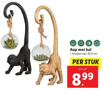 Lidl Aap met bal 45.5cm aanbieding