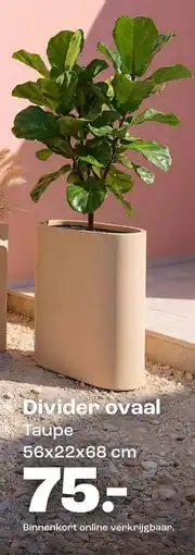 Kwantum Divider ovaal Taupe aanbieding