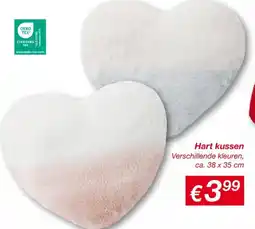 Kik Hart kussen aanbieding