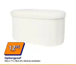 Action Opbergpoef aanbieding