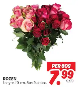 Dekamarkt Rozen aanbieding