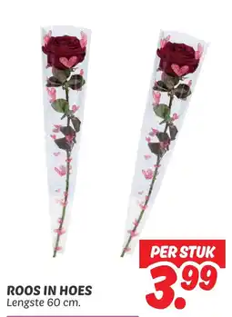 Dekamarkt Roos in hoes aanbieding