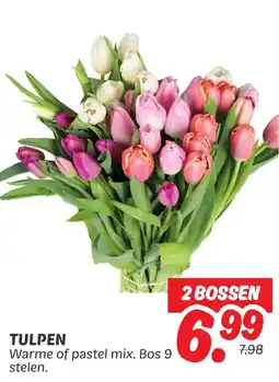 Dekamarkt Tulpen aanbieding