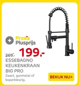 Praxis Essebagno keukenkraan big pro aanbieding