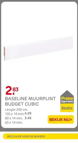 Praxis Baseline muurplint budget cubic aanbieding