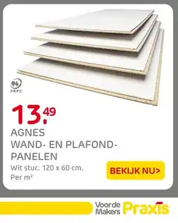 Praxis Agnes wand en plafond panelen aanbieding