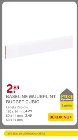 Praxis Baseline muurplint budget cubic aanbieding