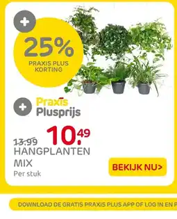 Praxis Hangplanten mix aanbieding