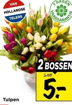Vomar Voordeelmarkt Tulpen aanbieding