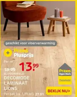 Praxis Decomode laminaat lions aanbieding
