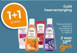 Trekpleister Guhl haarverzorging aanbieding