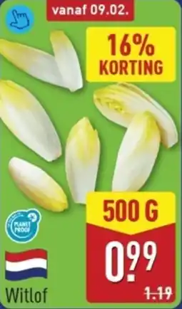 ALDI Witlof aanbieding