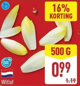 ALDI Witlof aanbieding