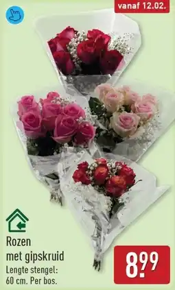 ALDI Rozen met gipskruid aanbieding