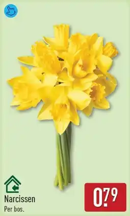 ALDI Narcissen aanbieding