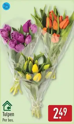 ALDI Tulpen aanbieding