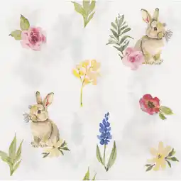 Albert Heijn AH Servet haasjes 40x40cm aanbieding