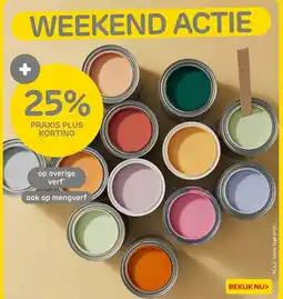 Praxis Op overige verf aanbieding