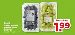 PLUS PLUS Sweet red en pitloze witte druiven aanbieding