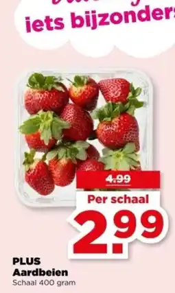 PLUS PLUS Aardbeien aanbieding