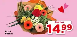 PLUS PLUS Boeket aanbieding