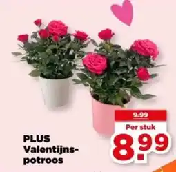 PLUS PLUS Valentijns potroos aanbieding