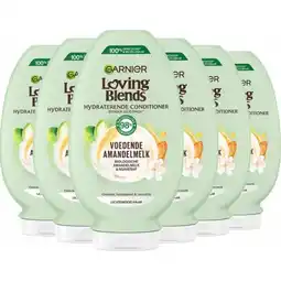 Plein.nl 6x Garnier Loving Blends Voedende aanbieding