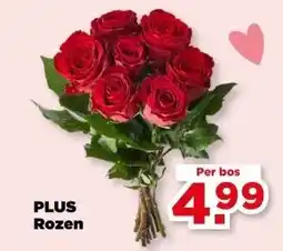 PLUS PLUS Rozen aanbieding