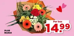 PLUS PLUS Boeket aanbieding
