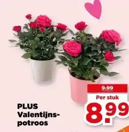 PLUS PLUS Valentijns- potroos aanbieding