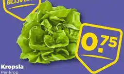 PLUS Kropsla aanbieding