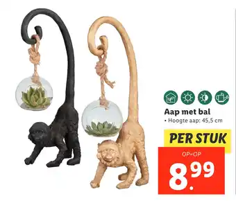 Lidl Aap met bal aanbieding