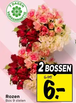 Vomar Voordeelmarkt Rozen Bos aanbieding