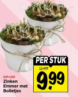 Vomar Voordeelmarkt Zinken Emmer met Bolletjes aanbieding