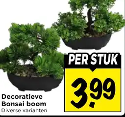 Vomar Voordeelmarkt Decoratieve Bonsai boom aanbieding